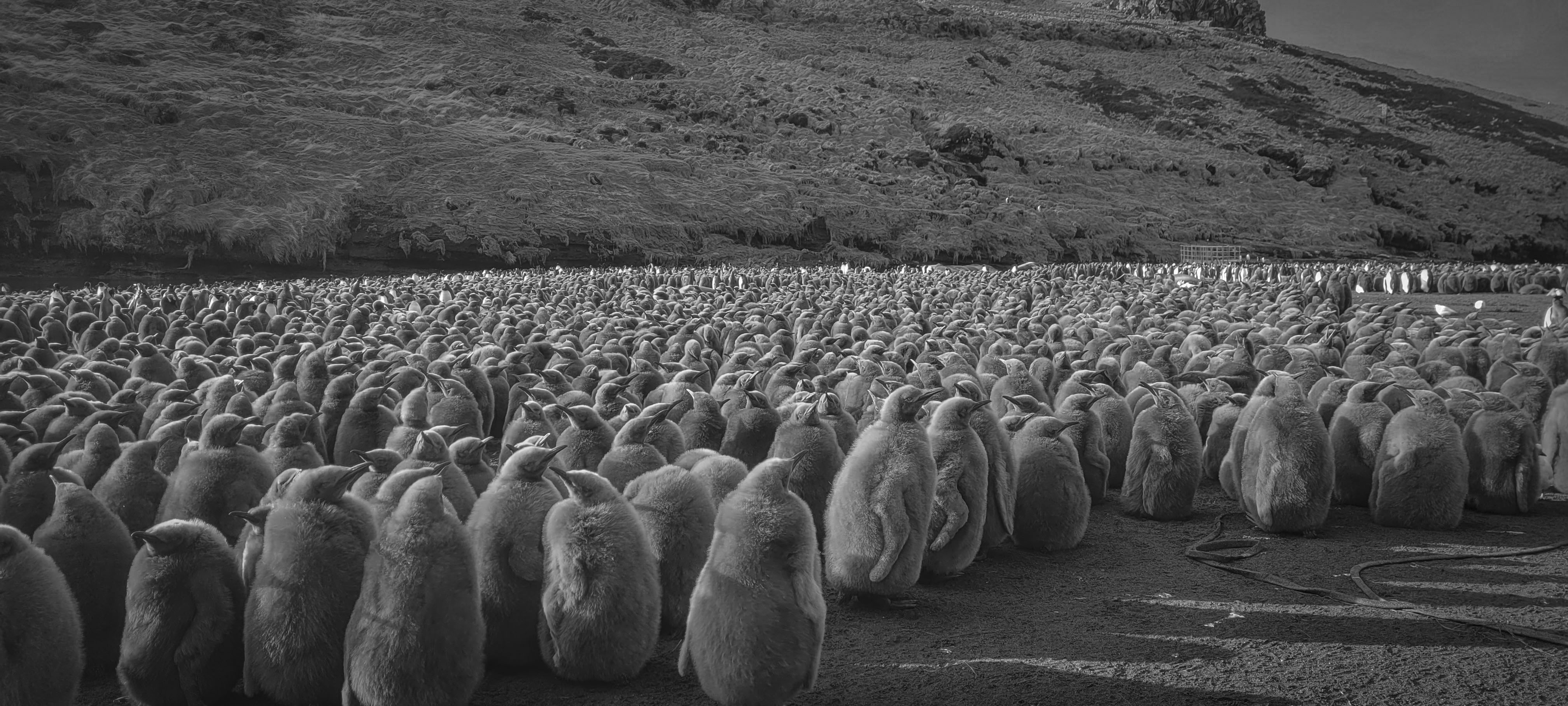 GYT 20220701 144533 20220701 144533